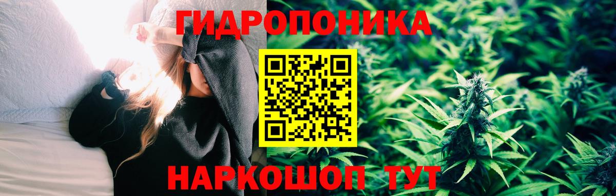 Марихуана сатива Гагарин